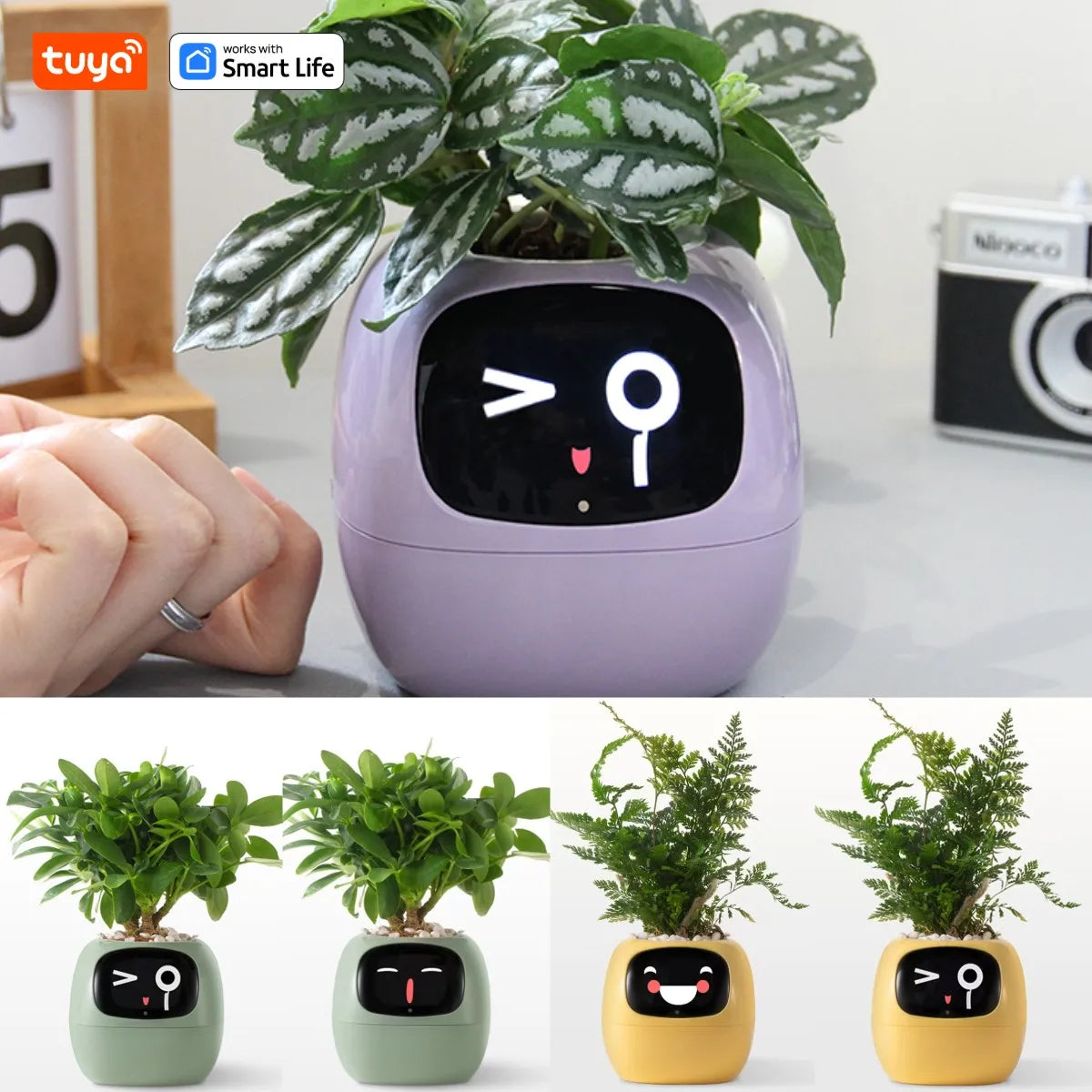 Ivy Smart Planter – AI-Powered Plant Care with 49 Expressions & 7 Smart Sensors