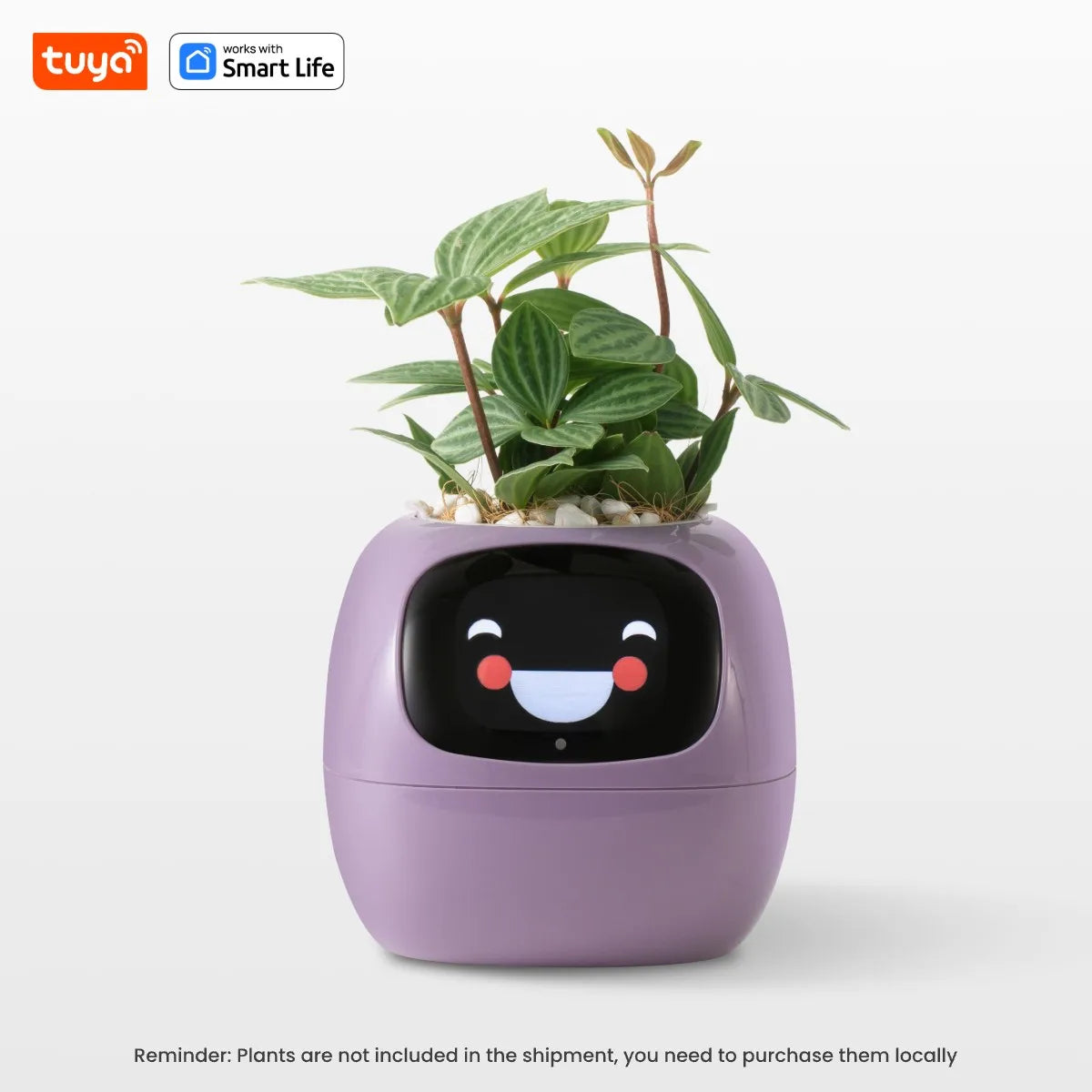 Ivy Smart Planter – AI-Powered Plant Care with 49 Expressions & 7 Smart Sensors