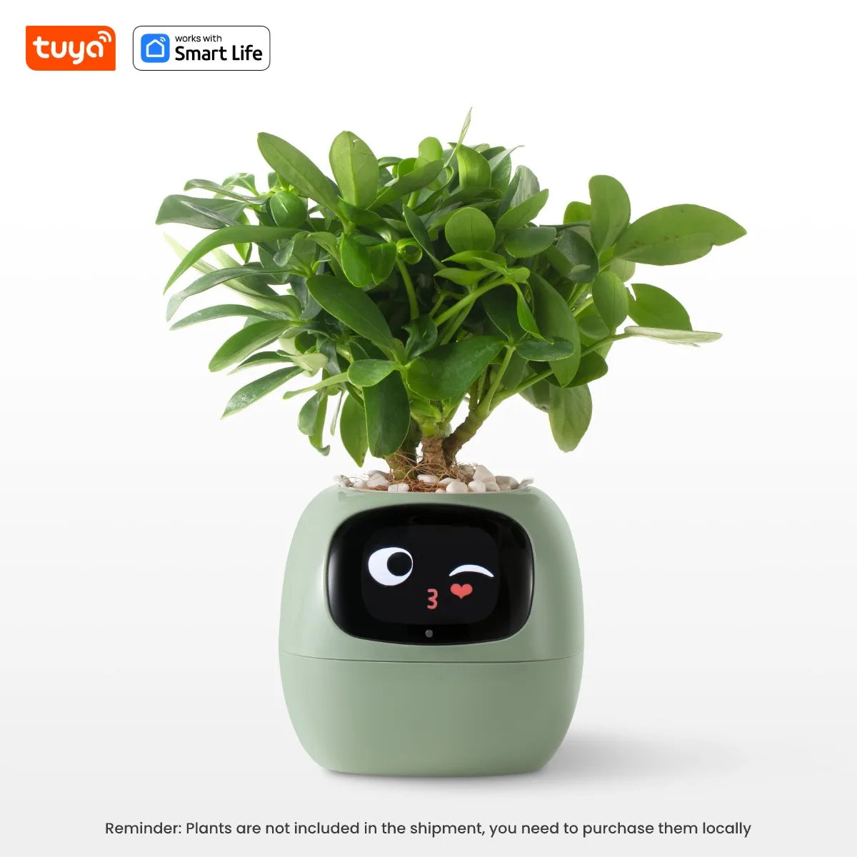 Ivy Smart Planter – AI-Powered Plant Care with 49 Expressions & 7 Smart Sensors